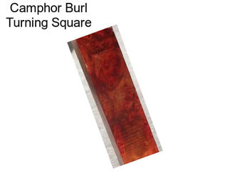 Camphor Burl Turning Square