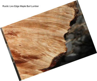 Rustic Live Edge Maple Burl Lumber