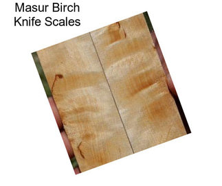 Masur Birch Knife Scales