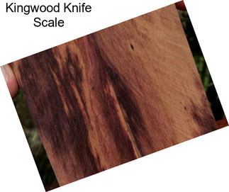 Kingwood Knife Scale
