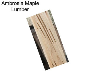 Ambrosia Maple Lumber