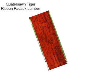 Quatersawn Tiger Ribbon Padauk Lumber