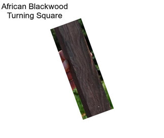 African Blackwood Turning Square