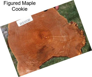 Figured Maple Cookie