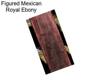 Figured Mexican Royal Ebony