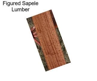 Figured Sapele Lumber