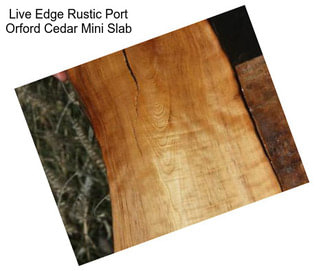 Live Edge Rustic Port Orford Cedar Mini Slab