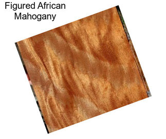 Figured African Mahogany