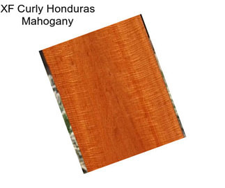 XF Curly Honduras Mahogany