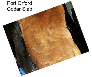 Port Orford Cedar Slab
