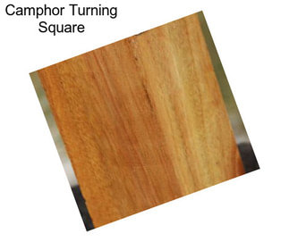 Camphor Turning Square