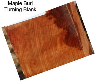 Maple Burl Turning Blank