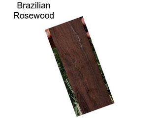 Brazilian Rosewood