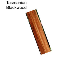 Tasmanian Blackwood