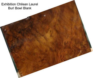 Exhibition Chilean Laurel Burl Bowl Blank