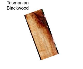 Tasmanian Blackwood