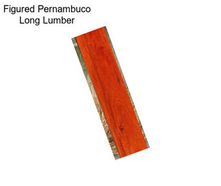 Figured Pernambuco Long Lumber