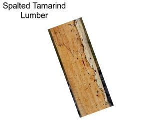 Spalted Tamarind Lumber