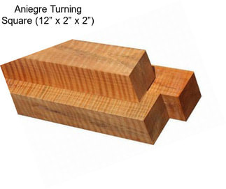 Aniegre Turning Square (12” x 2” x 2”)