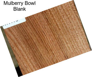 Mulberry Bowl Blank