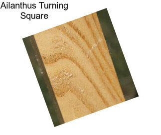 Ailanthus Turning Square