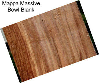 Mappa Massive Bowl Blank