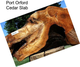 Port Orford Cedar Slab