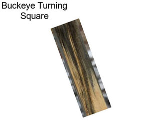 Buckeye Turning Square