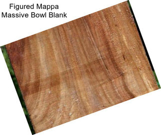 Figured Mappa Massive Bowl Blank