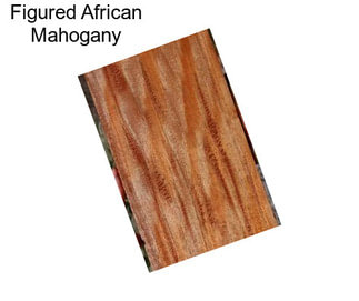 Figured African Mahogany