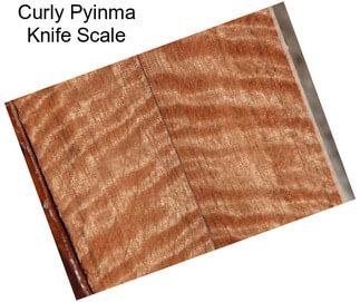 Curly Pyinma Knife Scale