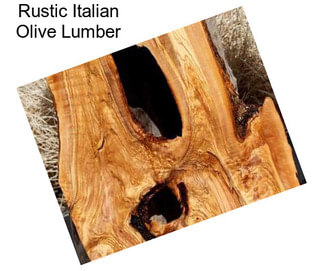 Rustic Italian Olive Lumber