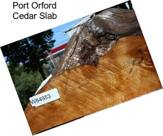 Port Orford Cedar Slab