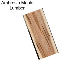 Ambrosia Maple Lumber