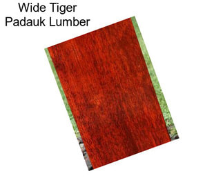 Wide Tiger Padauk Lumber