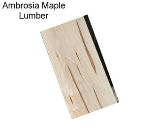 Ambrosia Maple Lumber