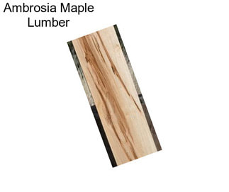 Ambrosia Maple Lumber