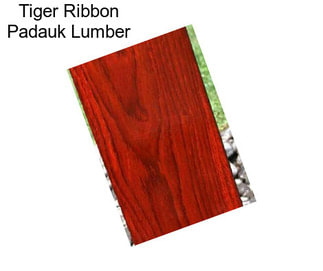 Tiger Ribbon Padauk Lumber