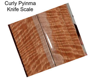 Curly Pyinma Knife Scale