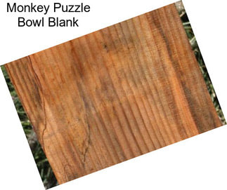 Monkey Puzzle Bowl Blank