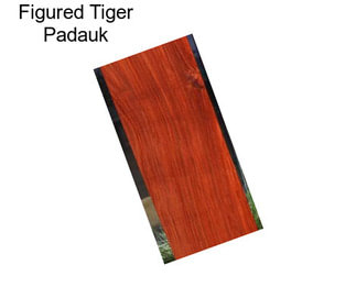 Figured Tiger Padauk