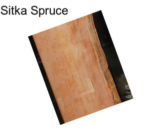 Sitka Spruce