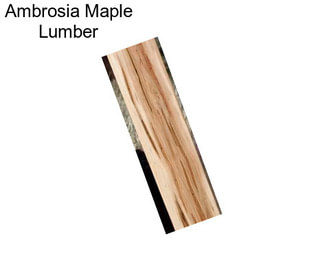 Ambrosia Maple Lumber