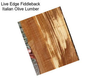 Live Edge Fiddleback Italian Olive Lumber