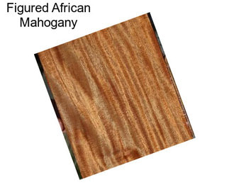 Figured African Mahogany