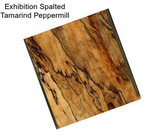 Exhibition Spalted Tamarind Peppermill