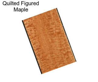 Quilted Figured Maple