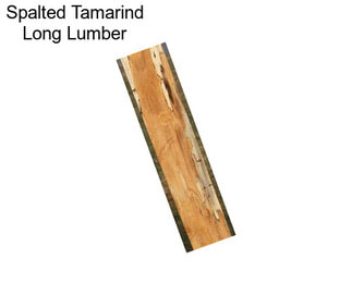 Spalted Tamarind Long Lumber