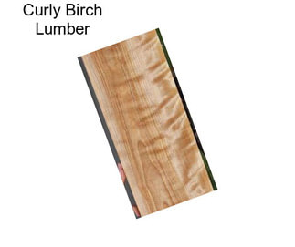 Curly Birch Lumber