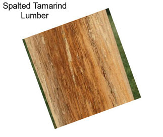 Spalted Tamarind Lumber